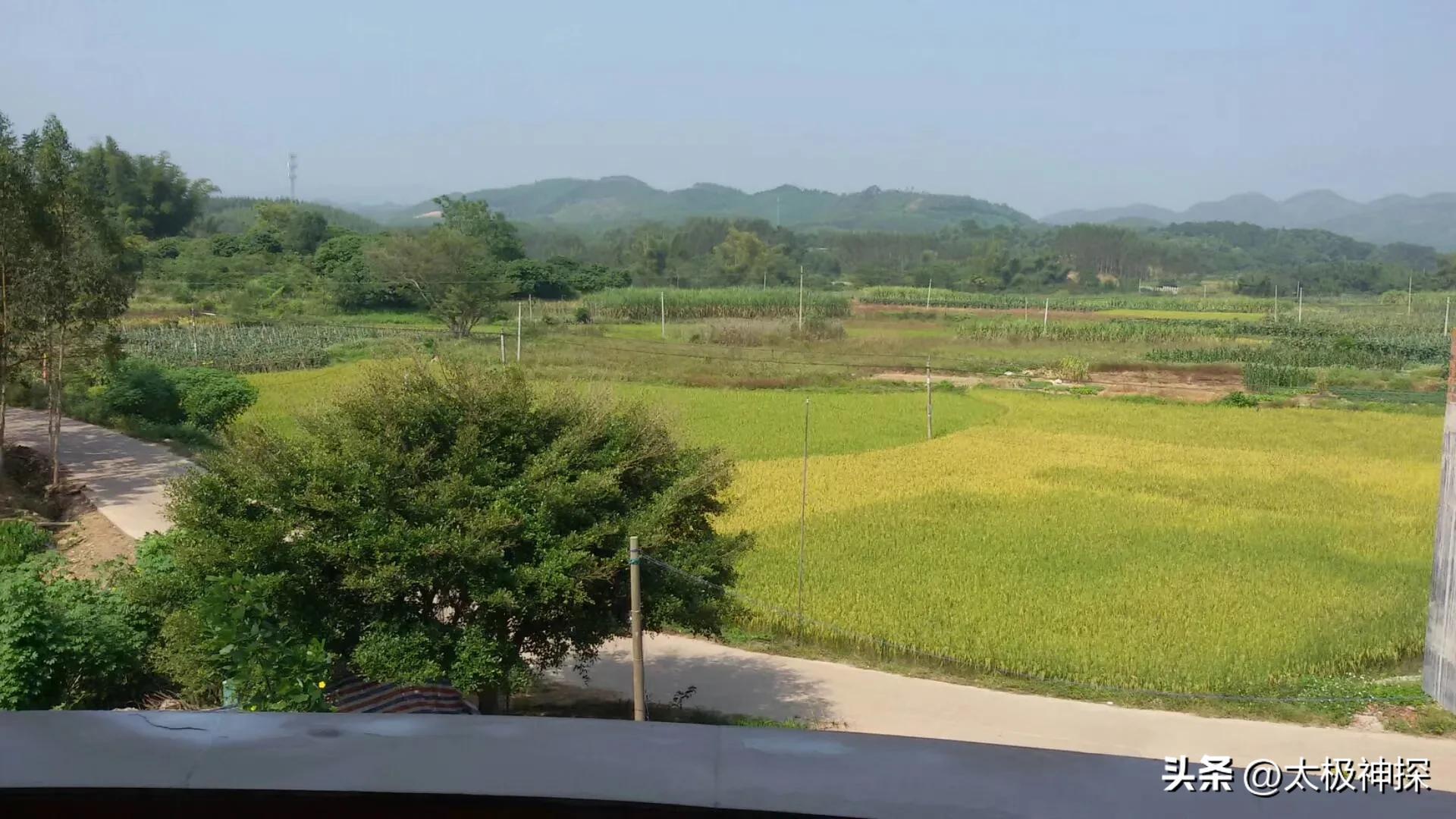 我理想的退休生活,退休后最理想的生活是什么