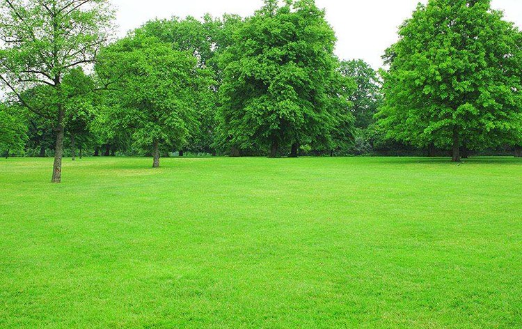 简述中国园林的特点,园林景观大揭秘