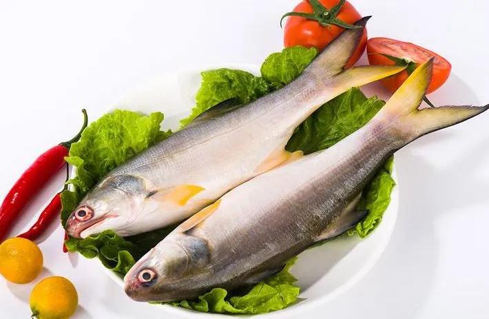 海鲜鱼类排行榜前十名,最便宜的20种海鲜是什么鱼类