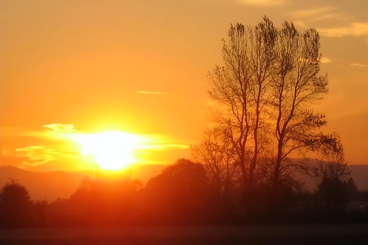 人老了躺在病床上才明白谁最重要,假如有一天我老了躺在病床上