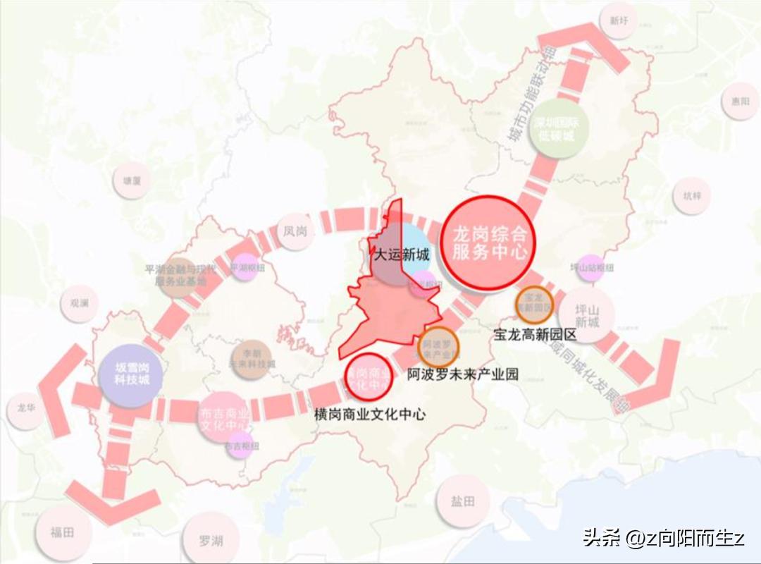 龙岗星龙园,大运星龙园