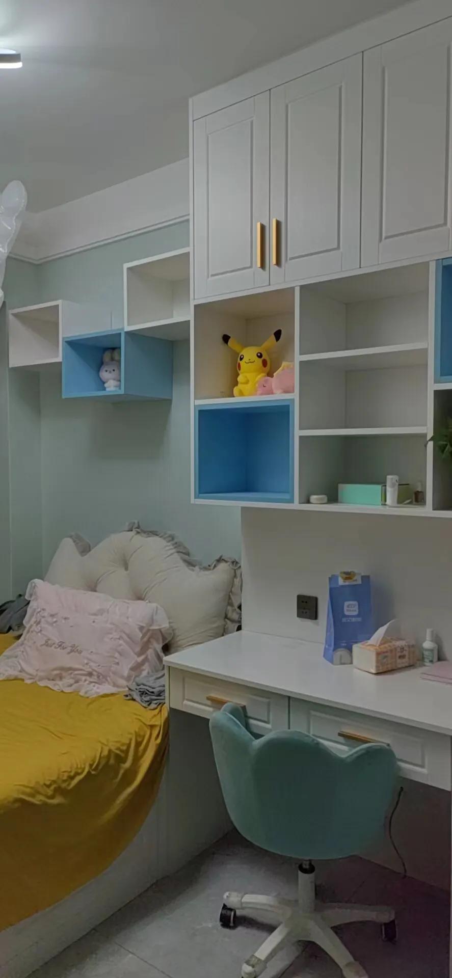 成都定制柜子鲁丽欧松板配PET肤感和高光门安装完工！640元/平方