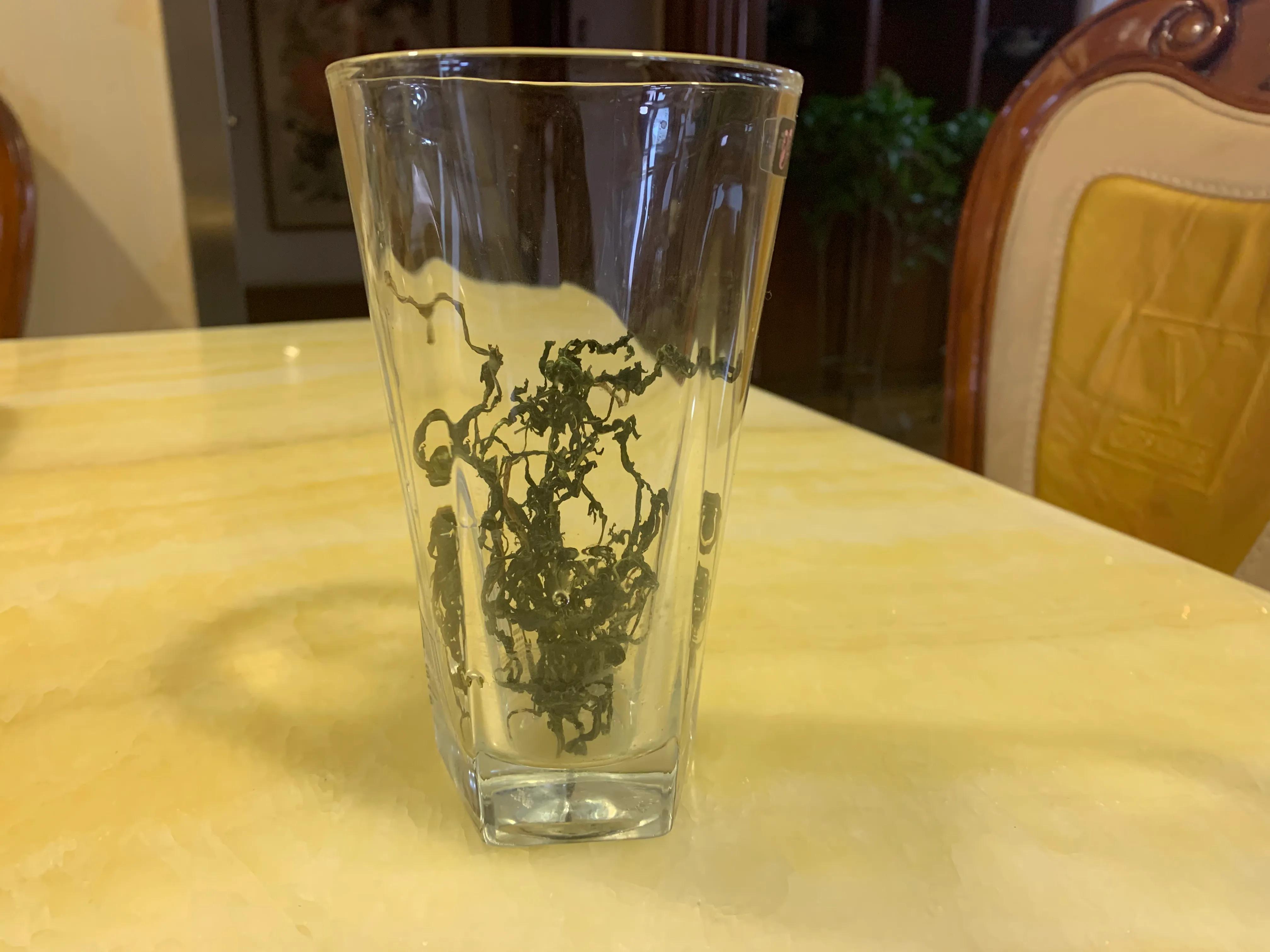 把蒲公英比作成了手掌写出了什么,把蒲公英吃掉