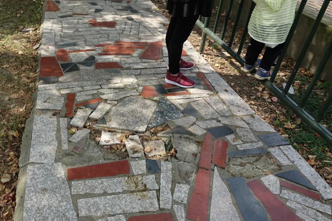 泰州动物园在哪里,泰州动物园在哪