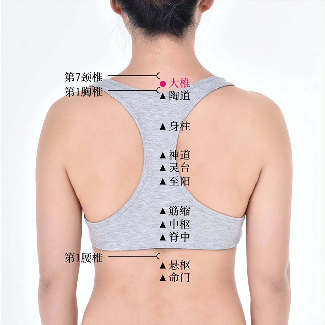 夏季养生调理的艾灸六穴,夏至艾灸养生知识大全