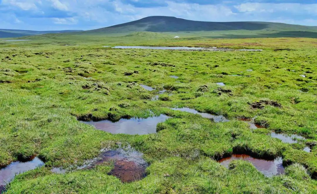 风中传来的气息,风中传来了苦咸的气息