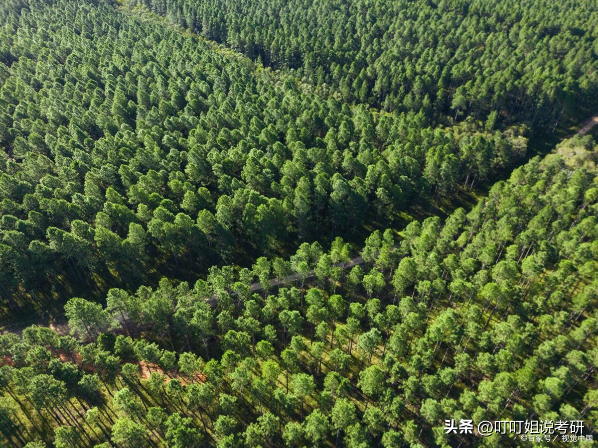 林业大学专业推荐,林业专业推荐