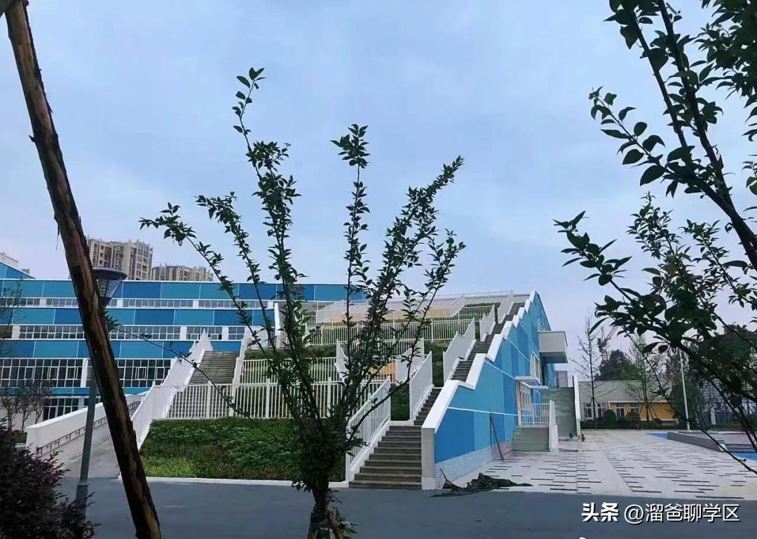 草堂子美,草堂子美怎么样