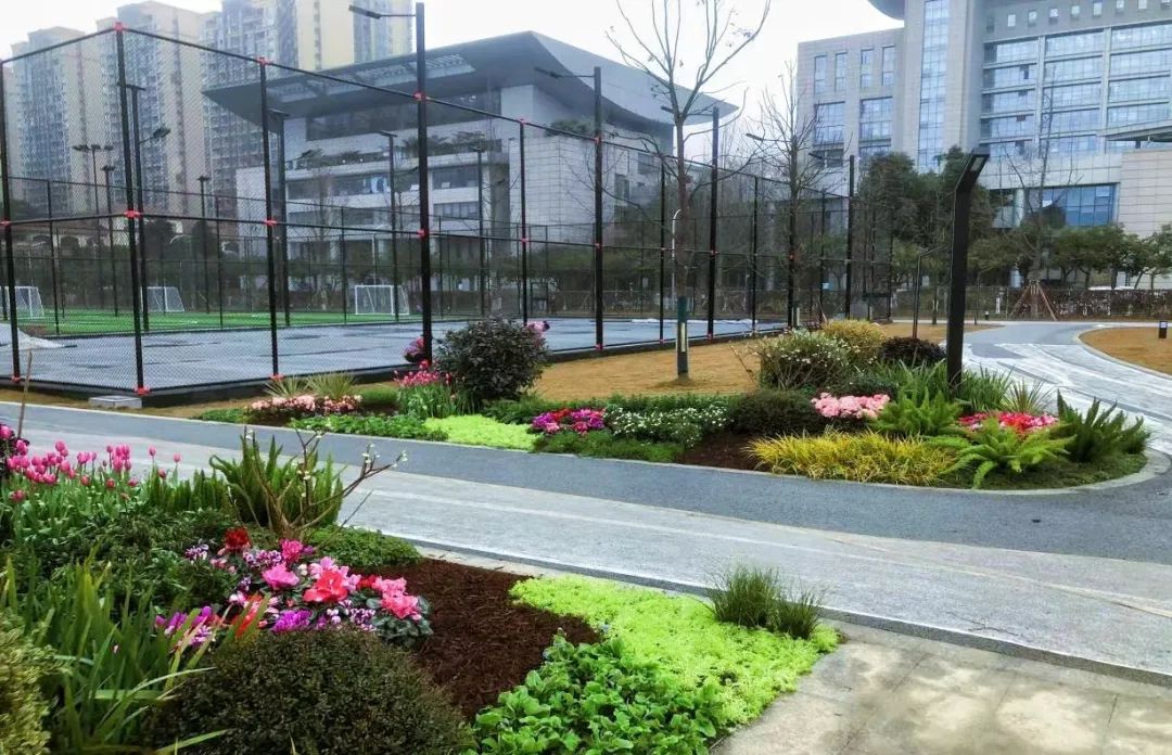 幸福成都美丽家园,幸福成都成就梦想