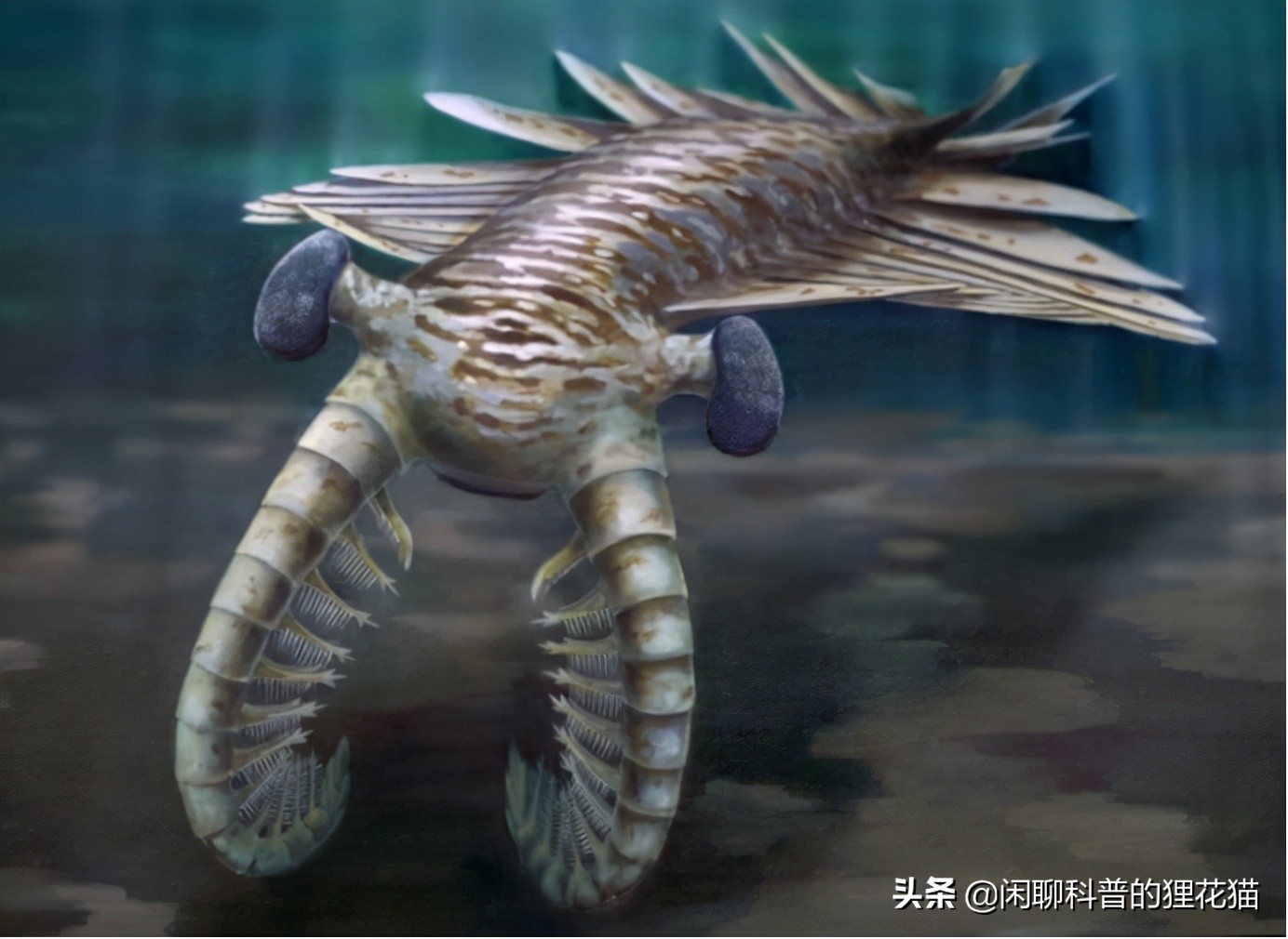 史前巨兽十大海洋霸主战斗力排名,史前最危险的十大海洋巨兽