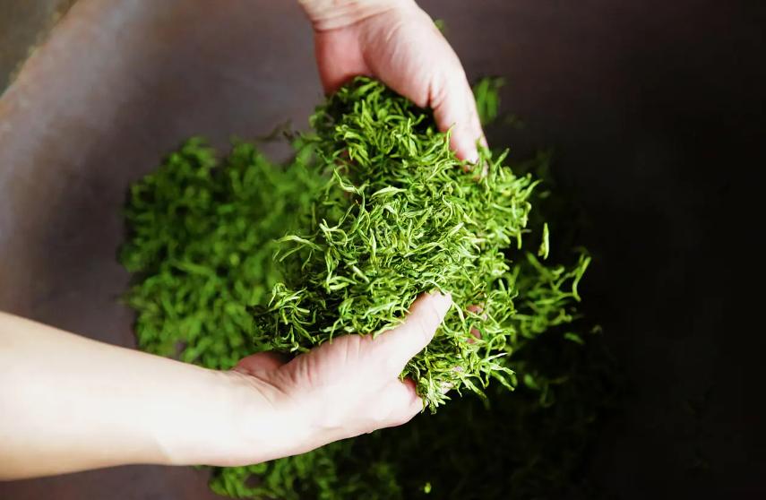 茶叶从冰箱拿出来能不能立即打开,茶叶放冰箱冷藏里再拿出来会坏吗