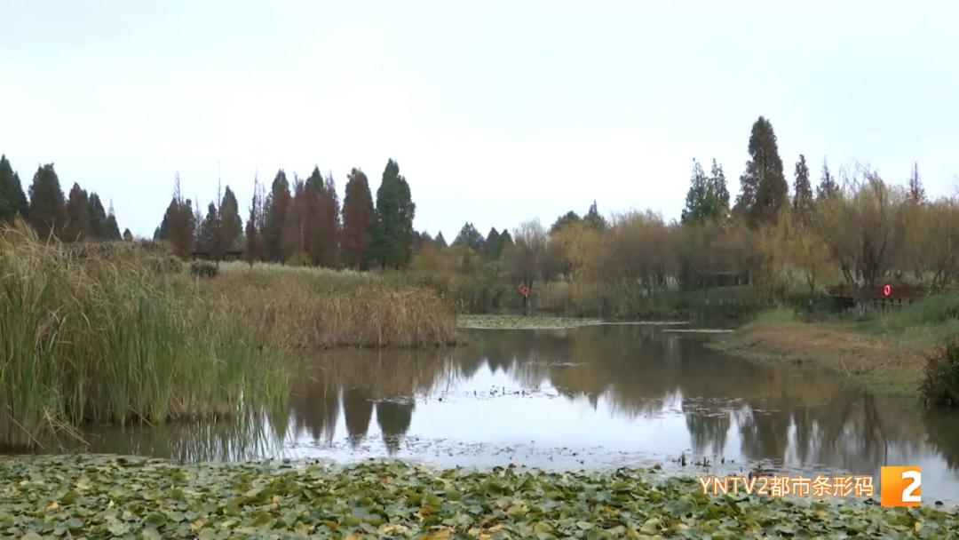 昆明周边人少景美的地方,昆明附近三四小时车程好去处