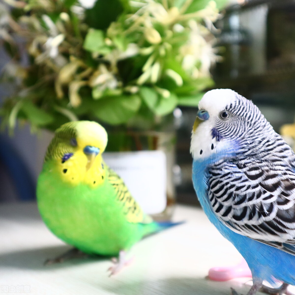 摘下面具做最真实的自己,放下伪装摘下面具做最真实的自己