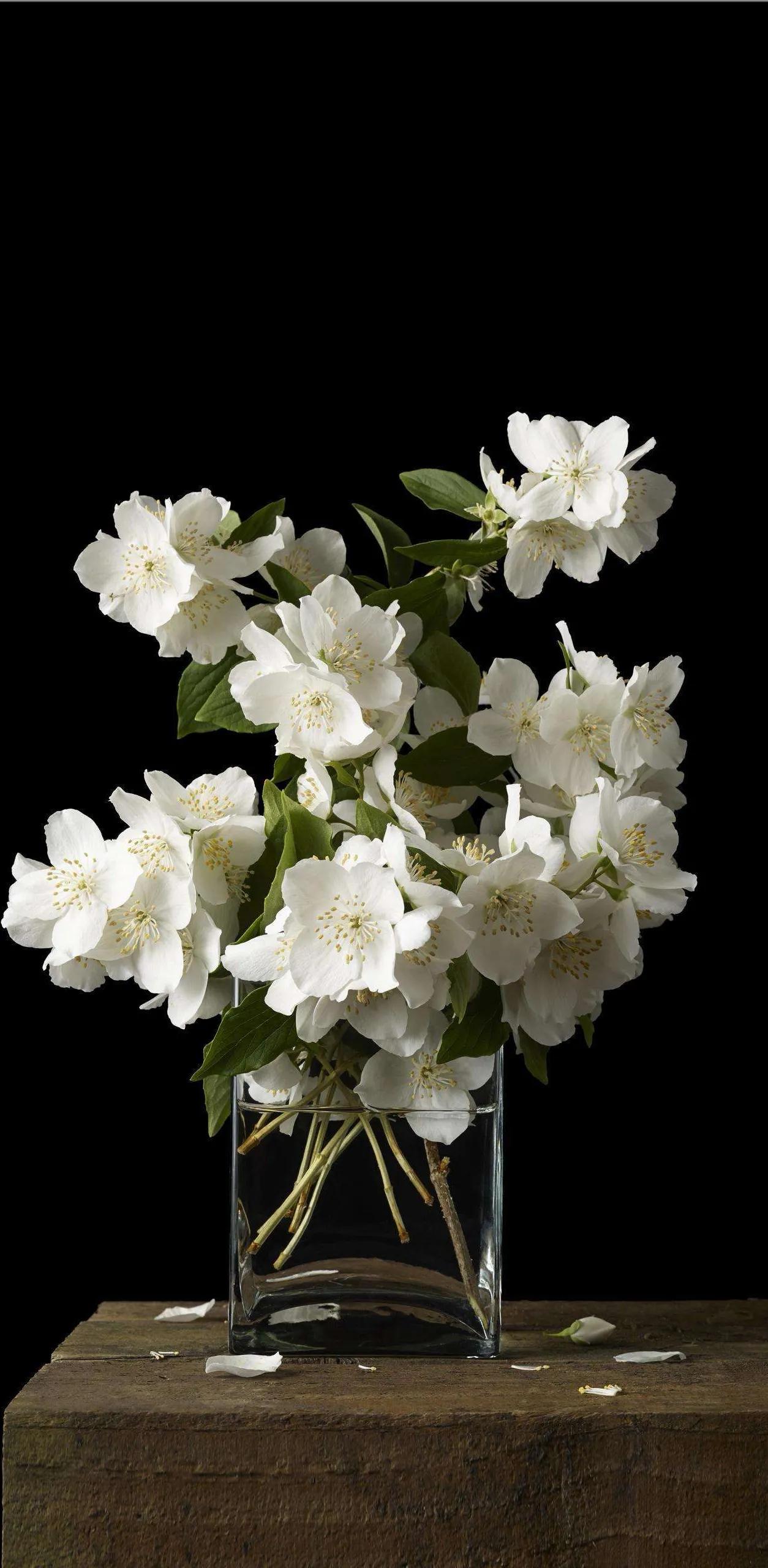 花朵黑白手绘图,黑白图片花朵