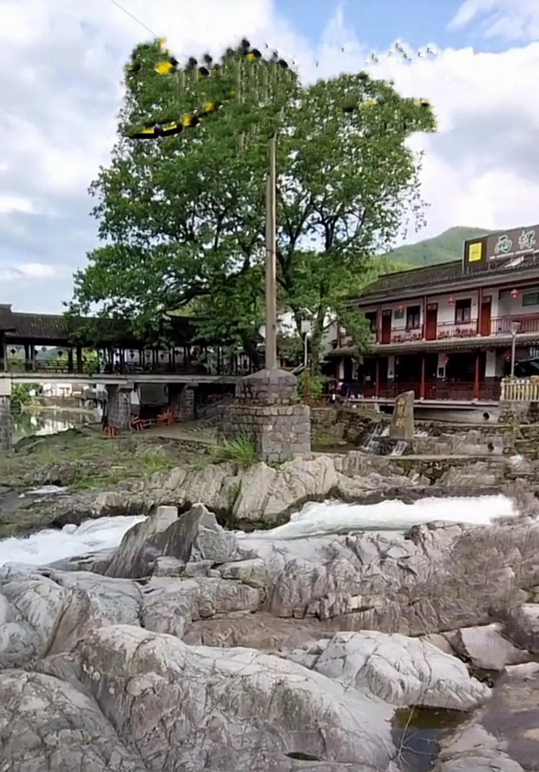 鍐滄皯鍒涗笟甯﹀姩涔￠晣缁忔祹鍙戝睍,濡備綍鍙戝睍鍘垮煄瀹炰綋缁忔祹