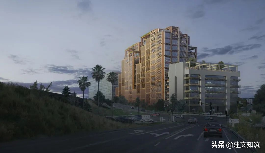 waf2023世锦赛,waf国内排名