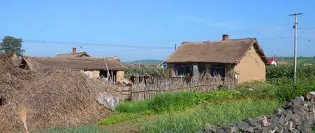 梅花香自苦寒来的上一句是什么,梅花香自苦寒来视频