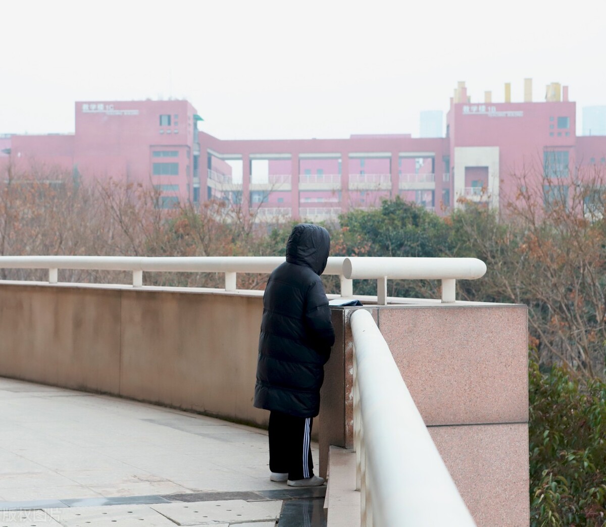 为什么最后考研数学只考了60多分,从小数学就好考研数学能多少分