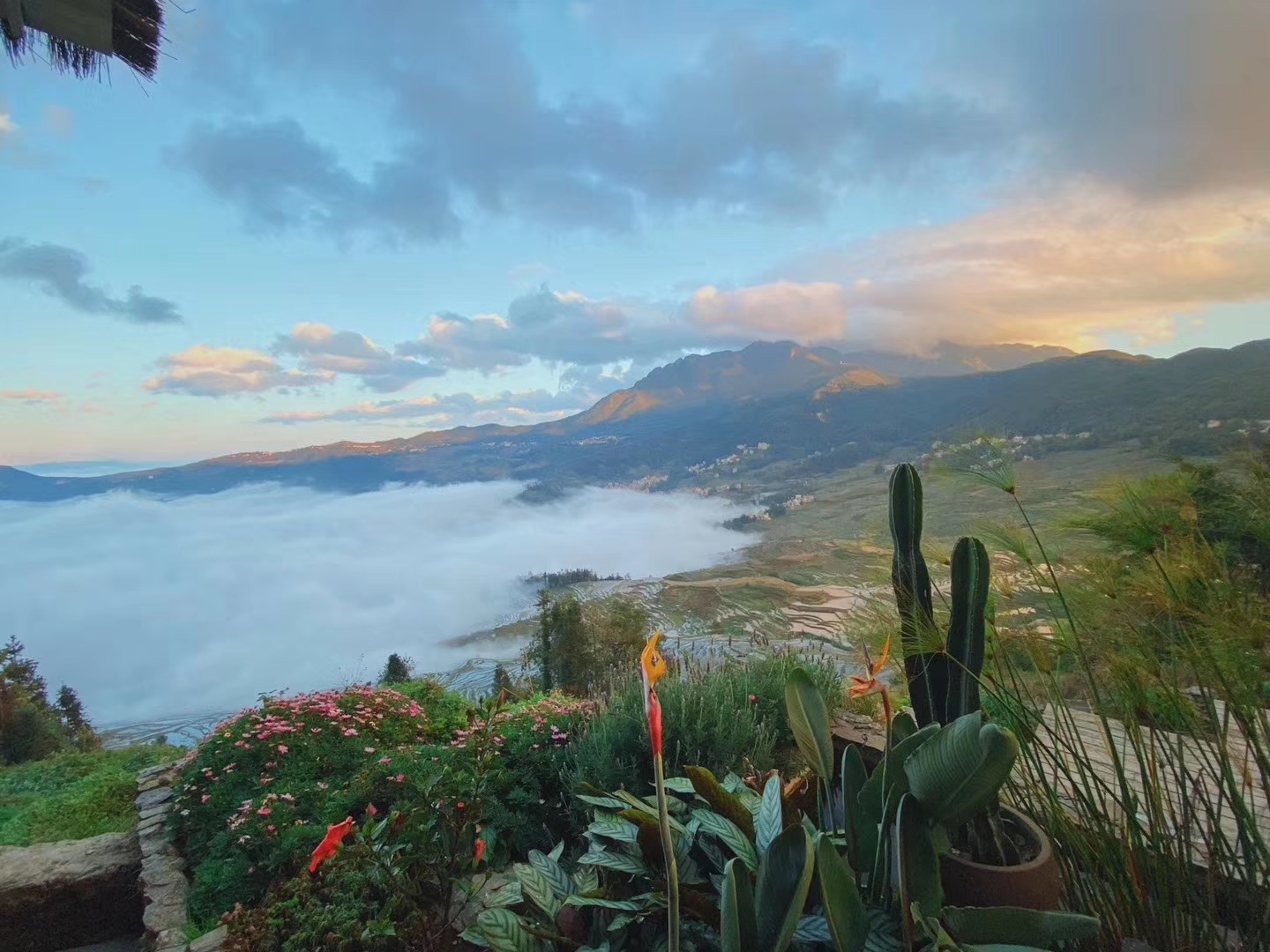 公务员考试常考易错成语口诀手册,公务员言语理解必备成语199个