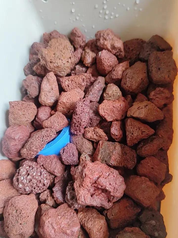 养鱼培养硝化细菌用什么滤材,养鱼哪种细菌滤材好