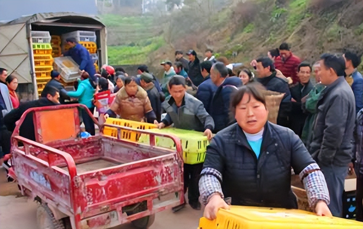 农村几万块适合做什么生意创业,农村40岁创业做什么生意好暴利