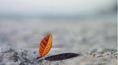 无限极董事长分享老方法,无限极老板责任