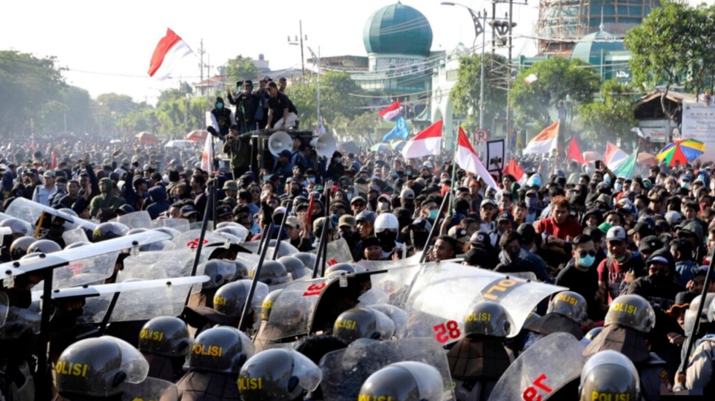 为什么需要重视印度尼西亚,印度尼西亚为什么生物灭绝