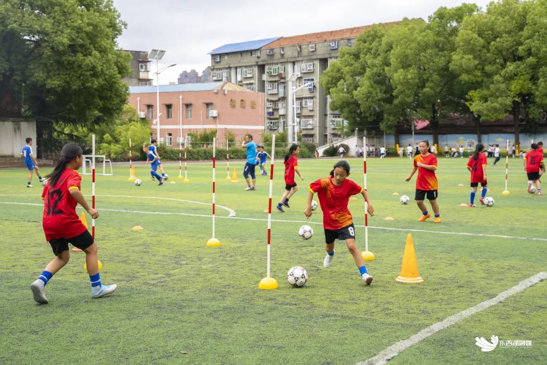 武汉市东西湖区比较好的学校,看东西湖有哪些好玩的地方