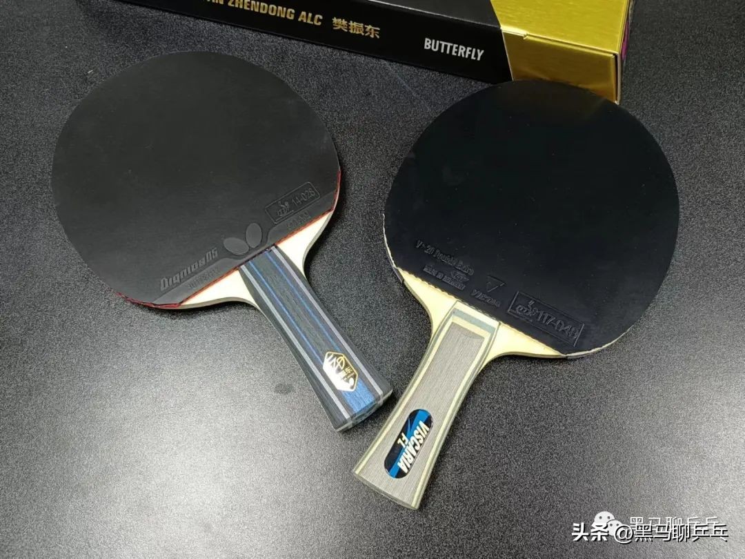 林高远alc和樊振东alc到底怎么选,林高远alc和樊振东alc怎么选择