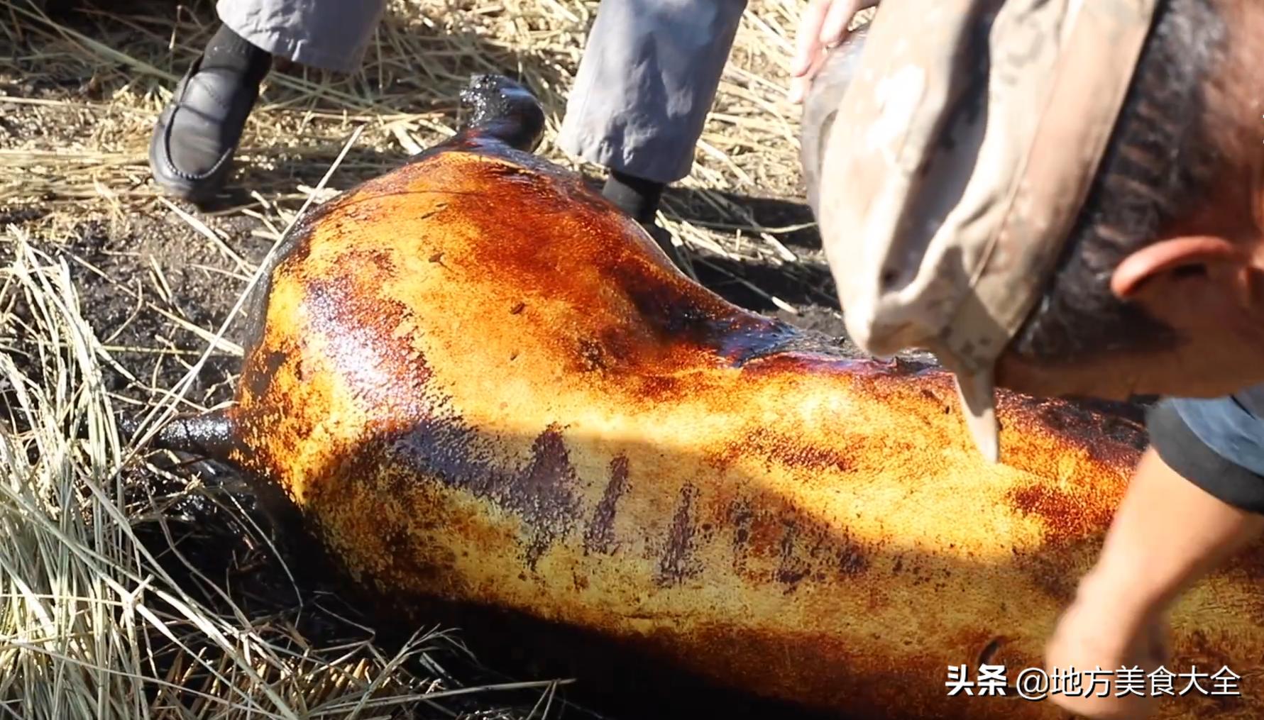 云南虫子美食生吃,原始人野外美食