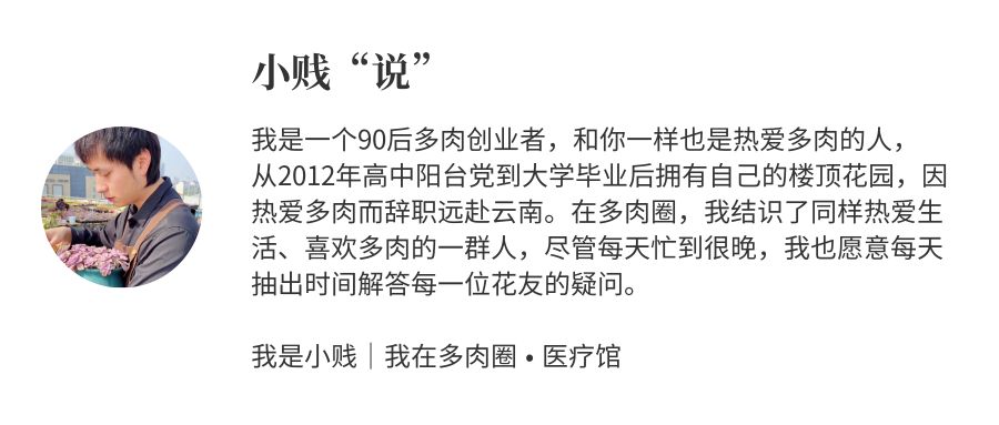 黑斑病季节,黑斑病防治指南