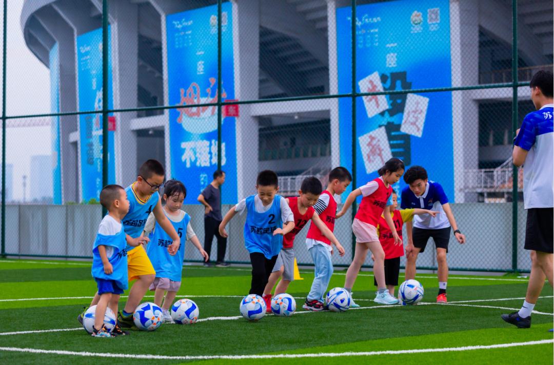 嘉兴苏超足球体育馆,嘉兴苏超