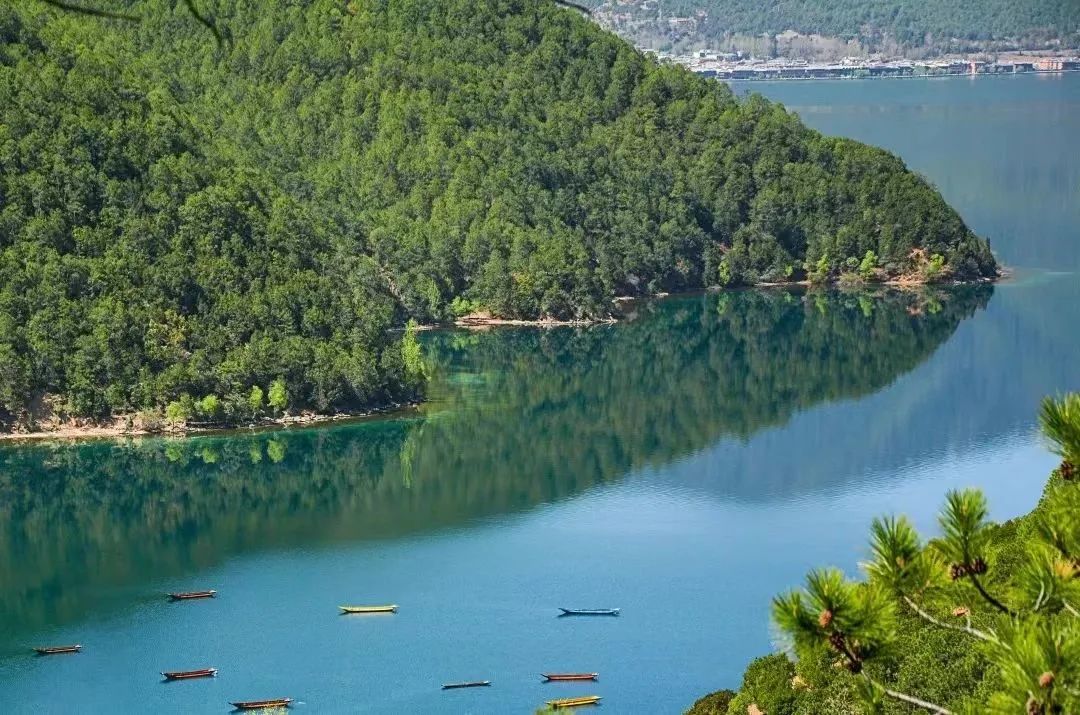 四川旅游攻略56人团,四川旅游4天3晚旅游攻略请收藏