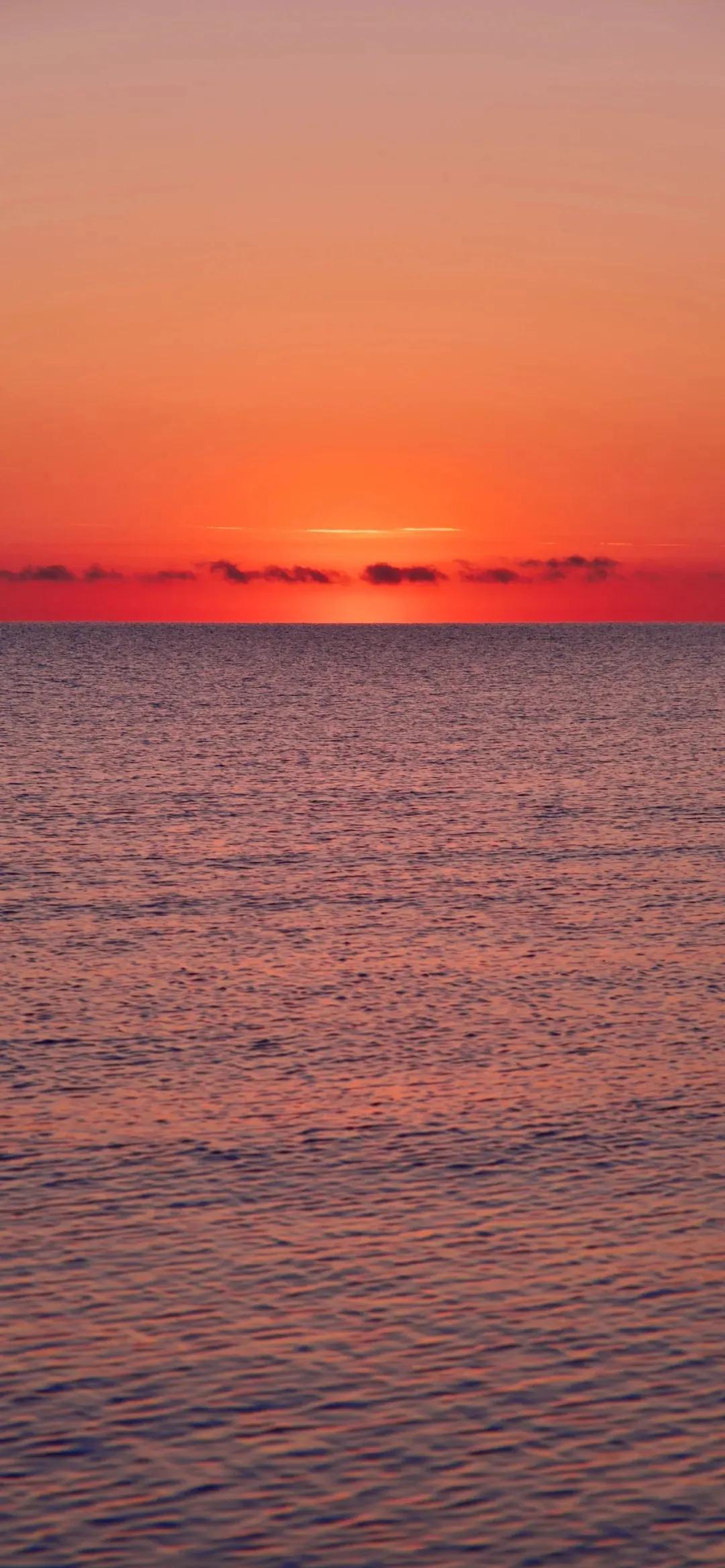 刘同孤独虽败犹荣,刘同经典语录你的孤独虽败犹荣