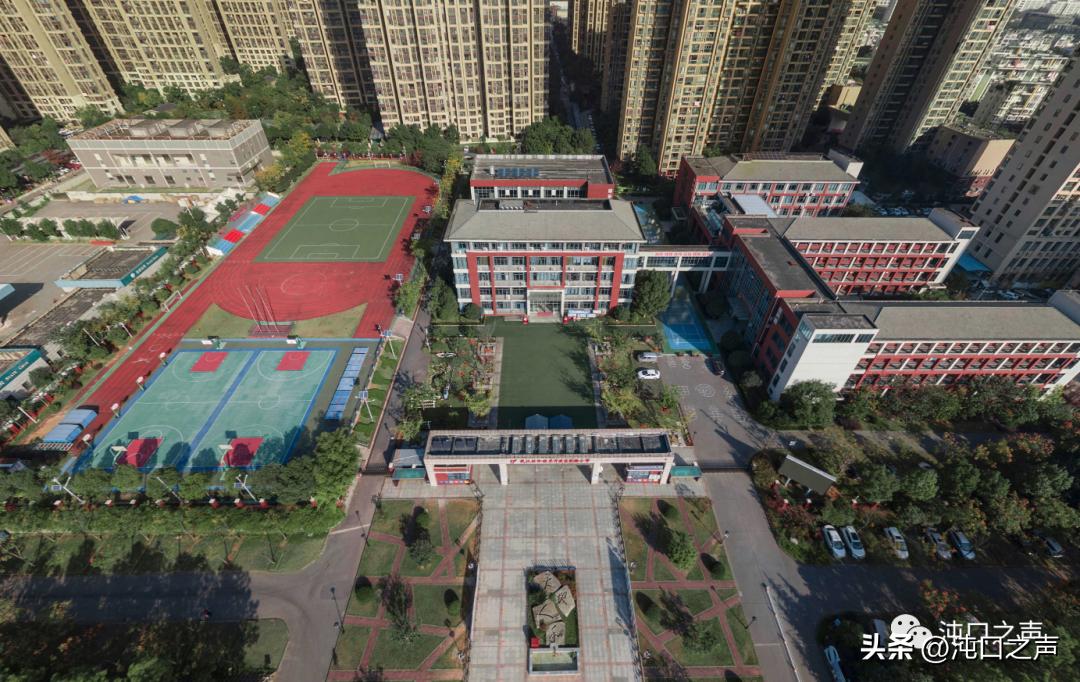 沌口最好的中学,沌口公办学校
