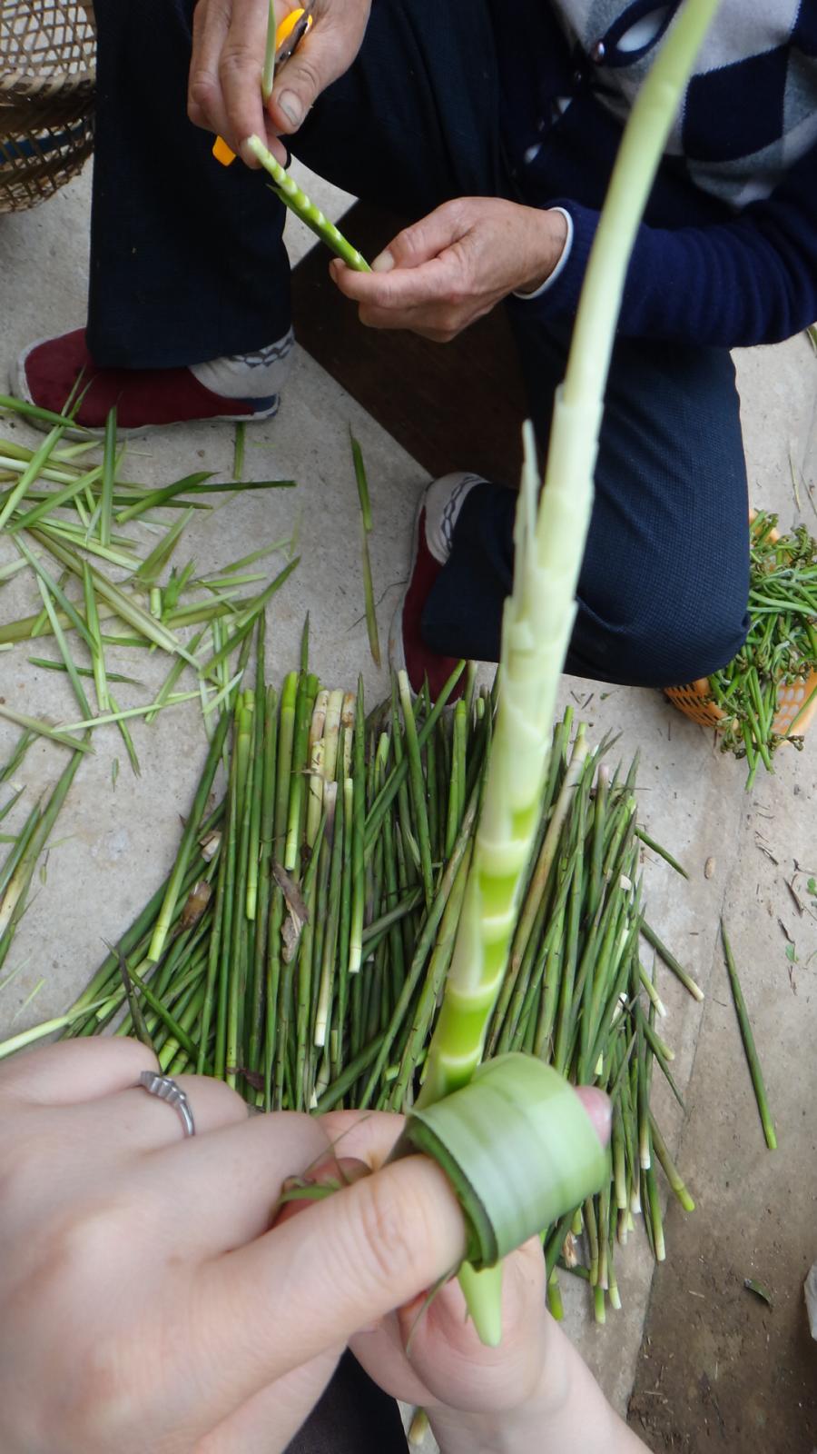 山民教剥竹笋只需3步轻松剥出笋,每日农经挖笋技巧视频