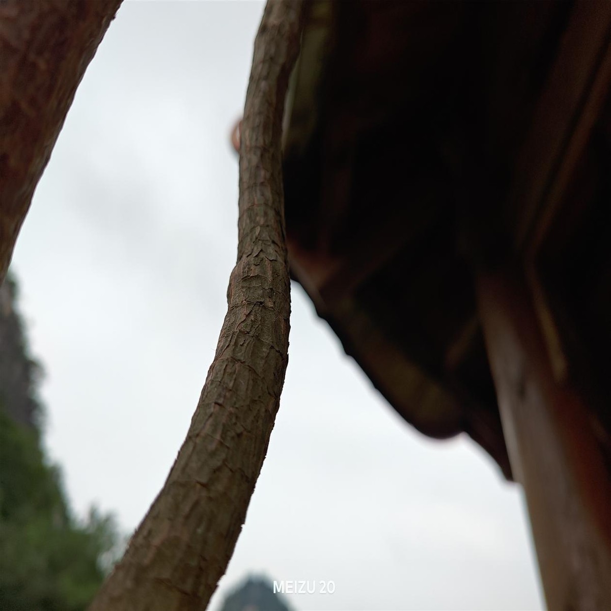 魅族30天体验,魅族20日常使用感受