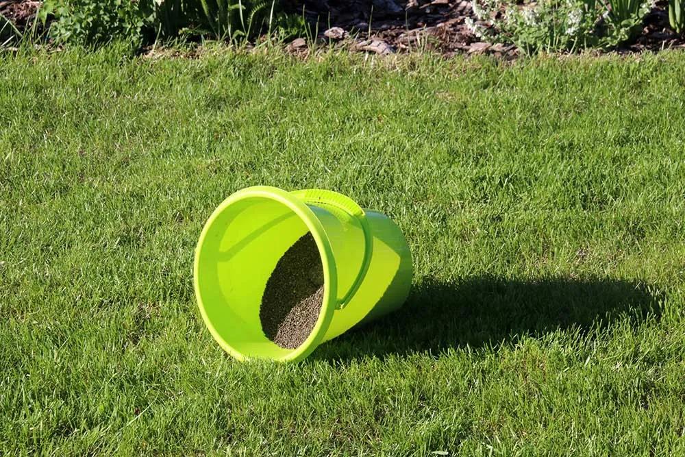 11月乔木灌木草坪病虫害用药,草坪病虫害怎么防治