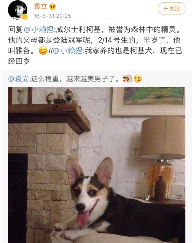 以为是假新闻其实是真新闻,撒贝宁郭京飞郭麒麟