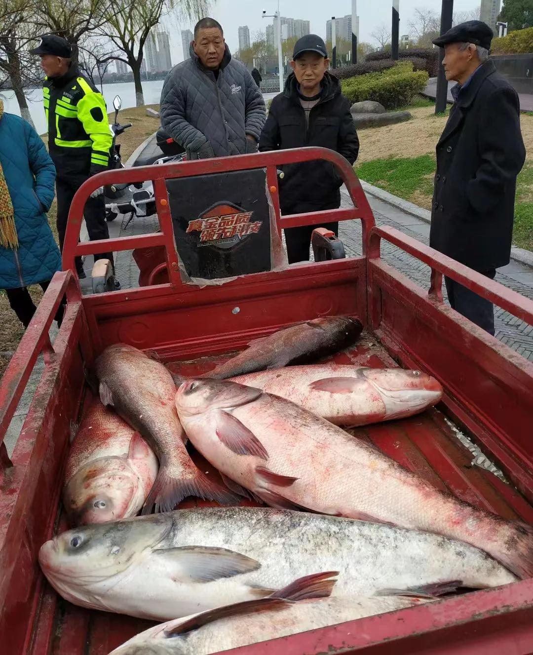 苏州尹山湖大剧院,苏州尹山湖中学