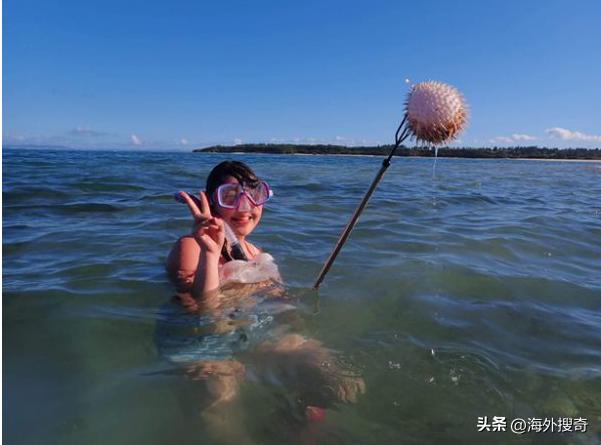 中国女子买下70万平日本海岛,30岁中国女子买下70万平小岛