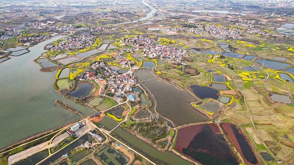 鄂州泽林镇新闻,鄂州泽林镇最新规划