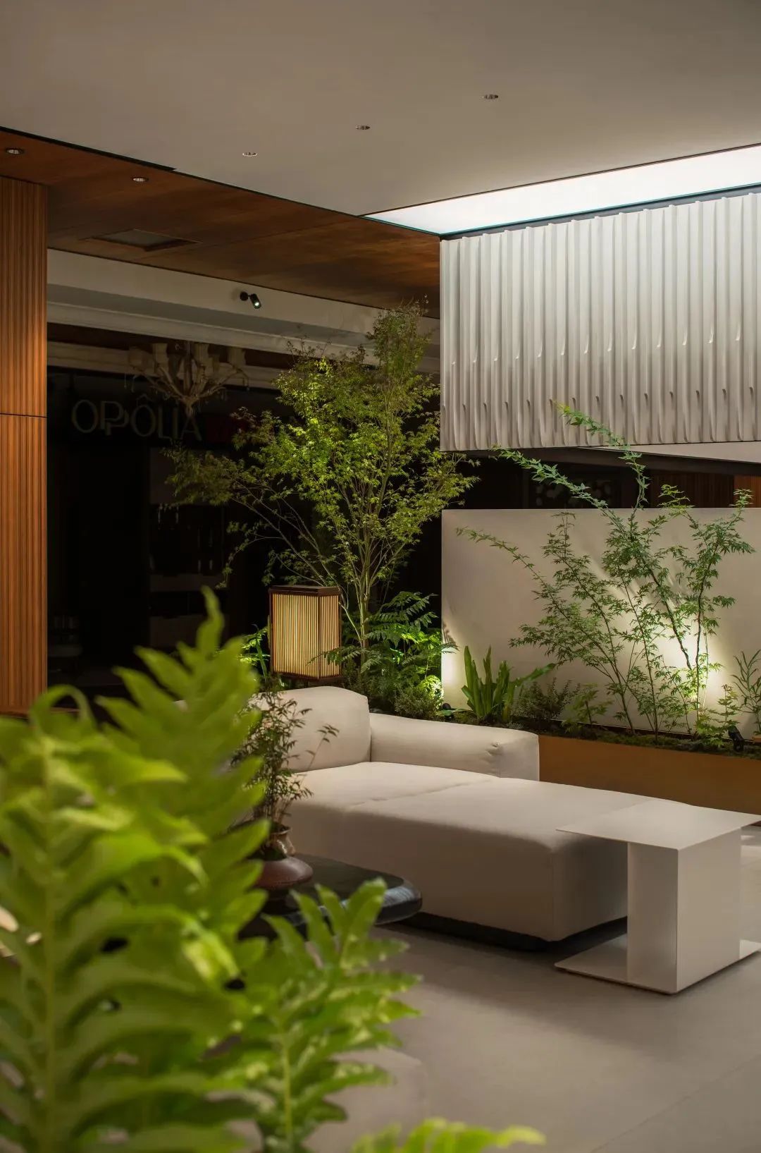 蜂鸟设计工作室,蜂鸟设计成都