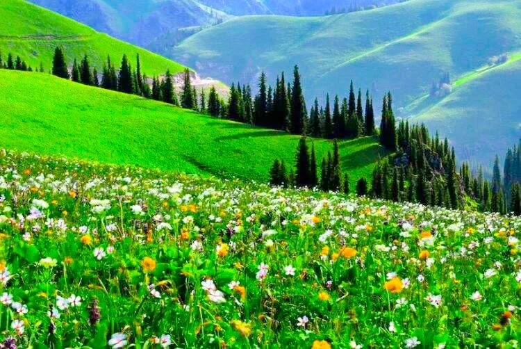 人生难得静心,人生难得清净心