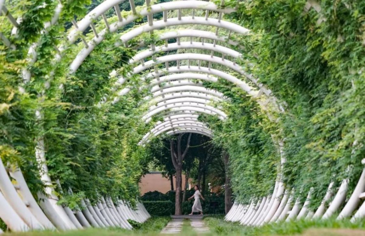 元宵节不出郑州能去哪里玩,郑州元宵节攻略