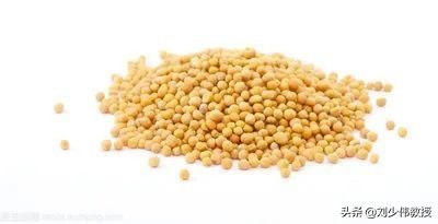 山葵辣根芥末分别是什么,高级芥末是辣根还是山葵