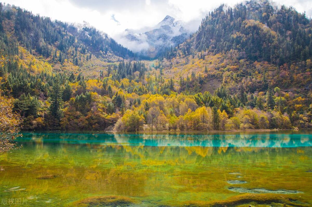 四川九寨沟自由行游玩攻略大全,四川旅游必去十大景点推荐九寨沟