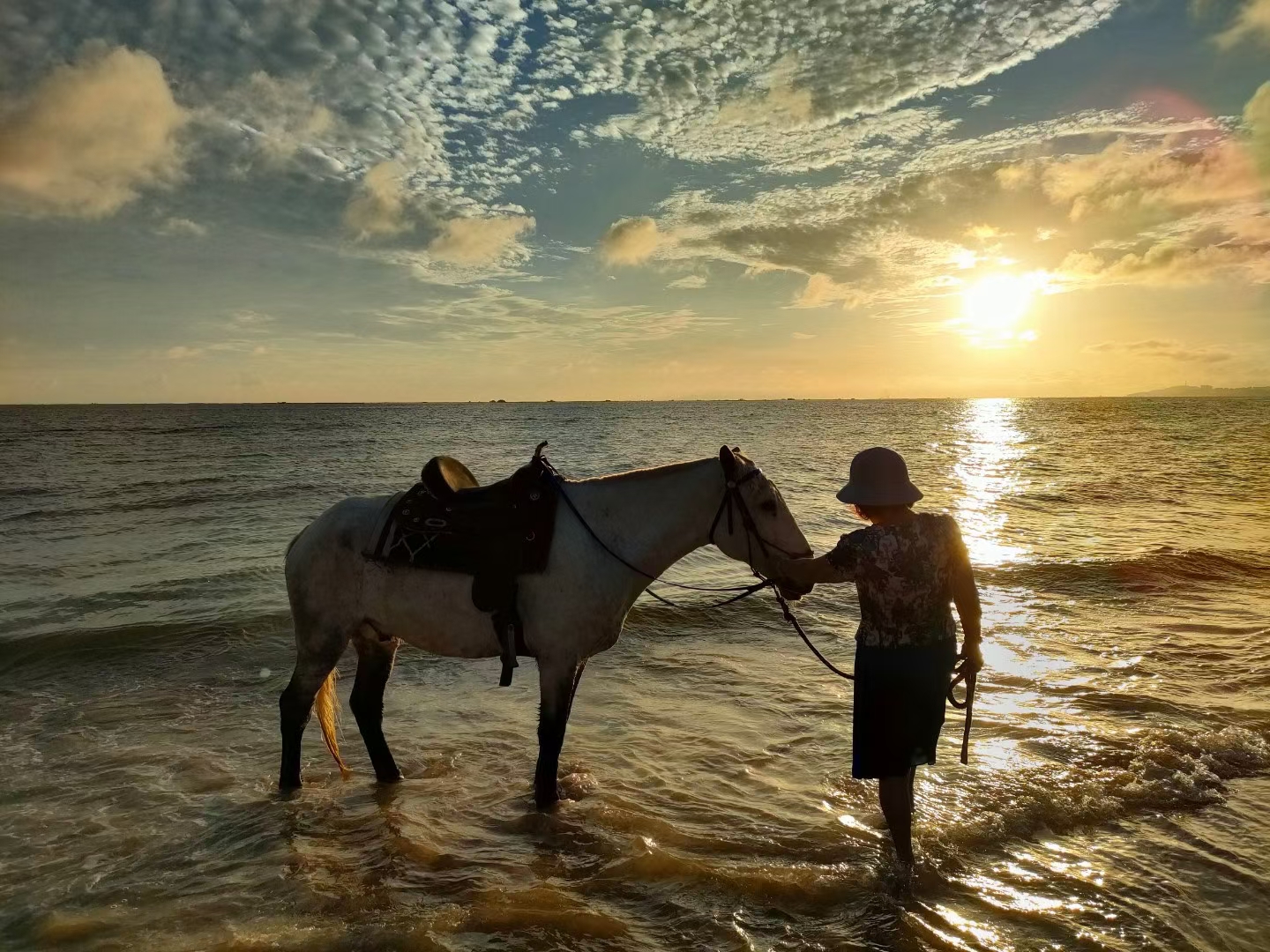 2023华杯赛夏令营,华誉外交官夏令营