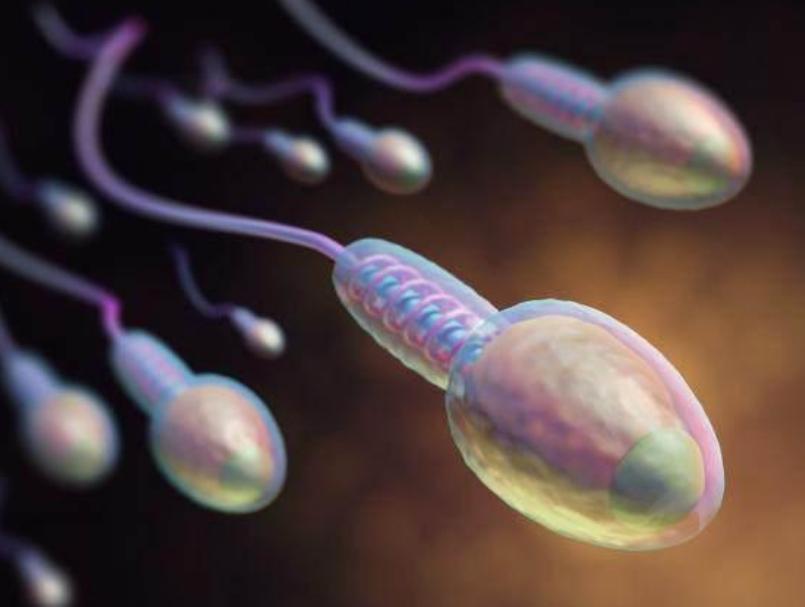 男人的精液天天都产生，不想办法排出去，会憋坏“蛋蛋”吗