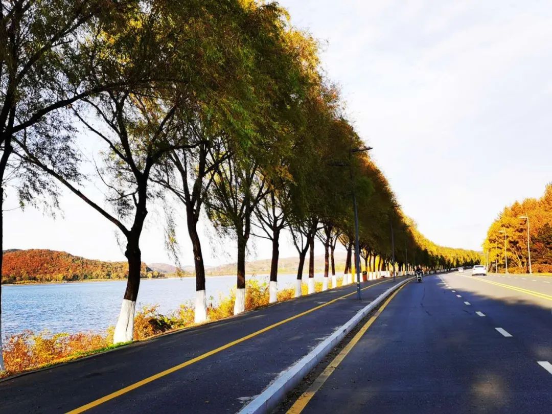 沈阳最近郊游最佳地点,沈阳湿地公园丹顶鹤放飞